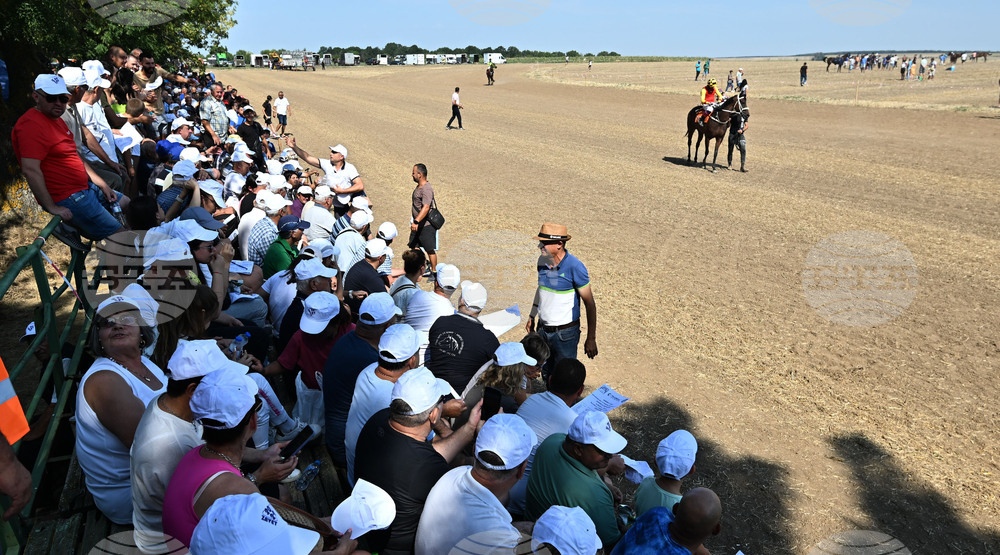 Завет - конни надбягвания