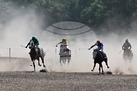 Завет - конни надбягвания