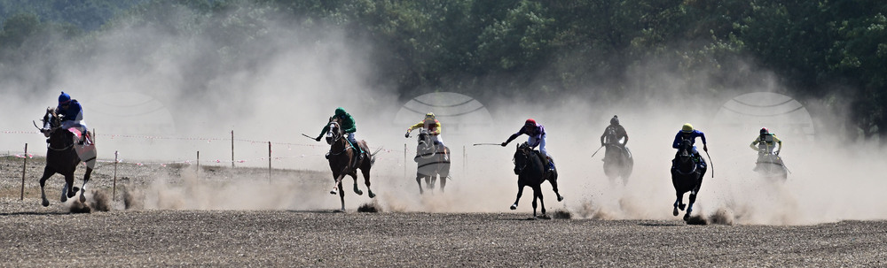 Завет - конни надбягвания
