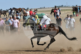 Завет - конни надбягвания