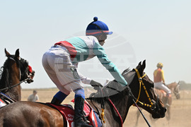 Завет - конни надбягвания