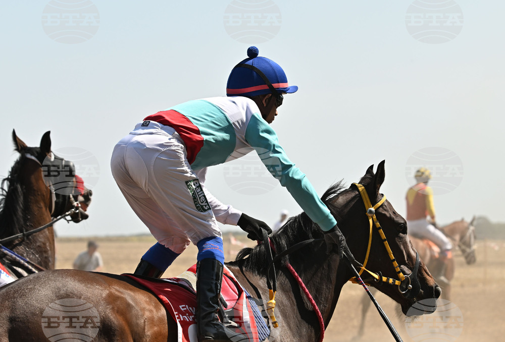 Завет - конни надбягвания