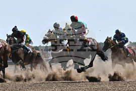 Завет - конни надбягвания