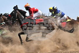 Завет - конни надбягвания