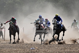 Завет - конни надбягвания