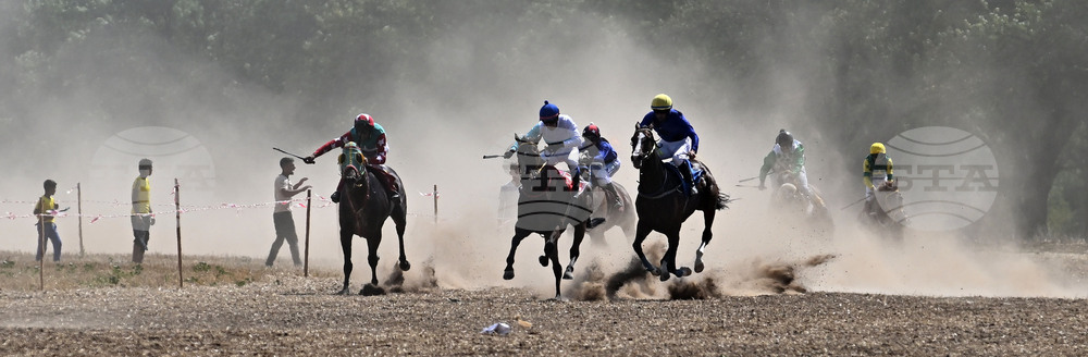 Завет - конни надбягвания