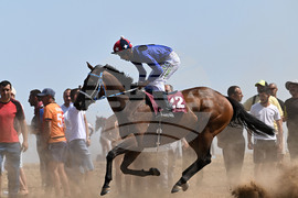 Завет - конни надбягвания