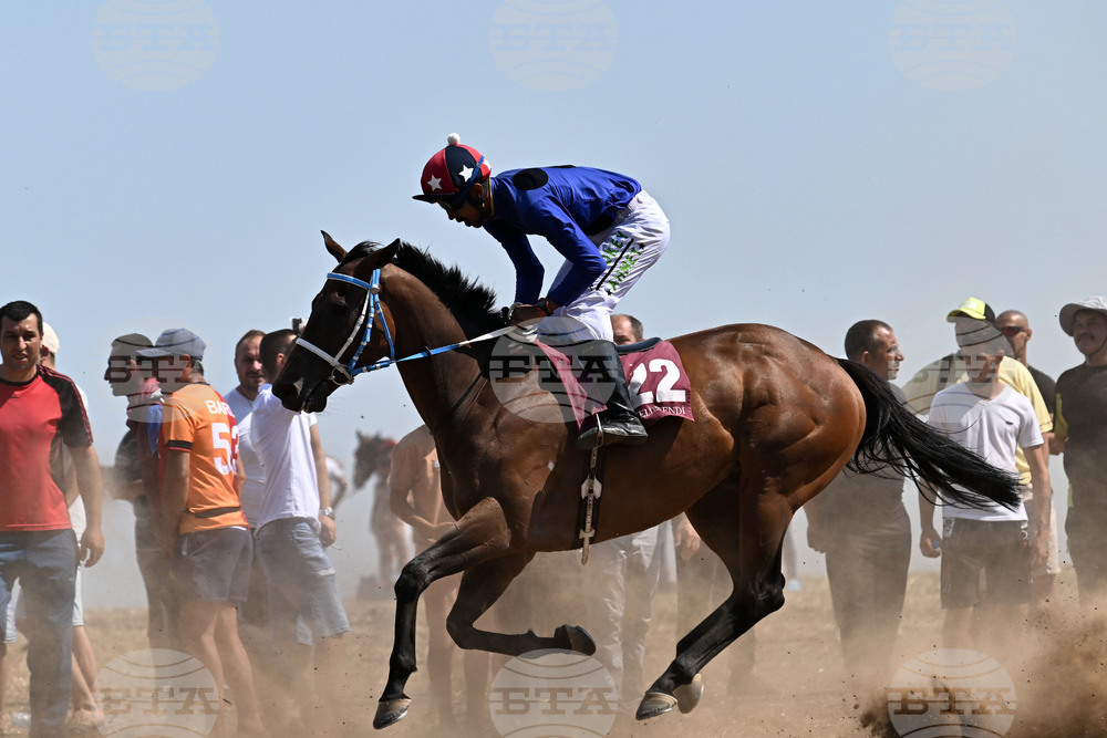 Завет - конни надбягвания