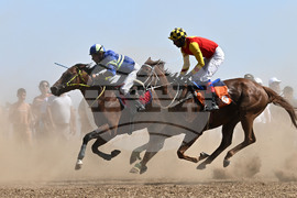 Завет - конни надбягвания