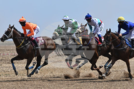 Завет - конни надбягвания