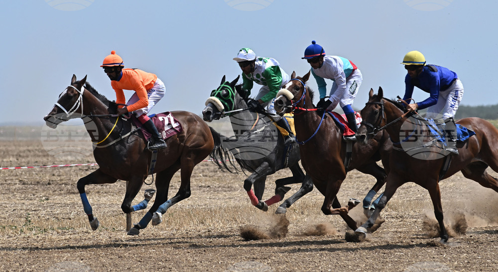 Завет - конни надбягвания