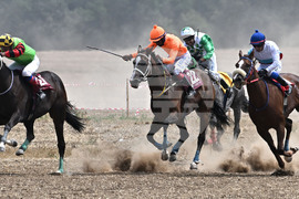 Завет - конни надбягвания