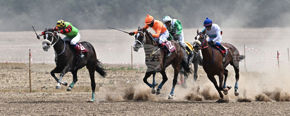 Завет - конни надбягвания