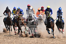 Завет - конни надбягвания