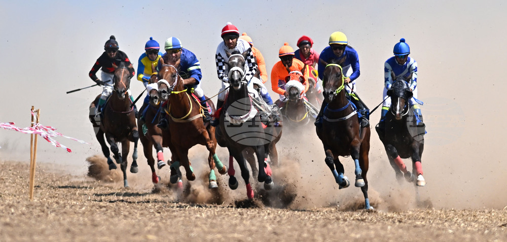 Завет - конни надбягвания