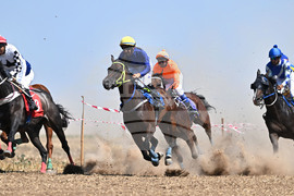 Завет - конни надбягвания