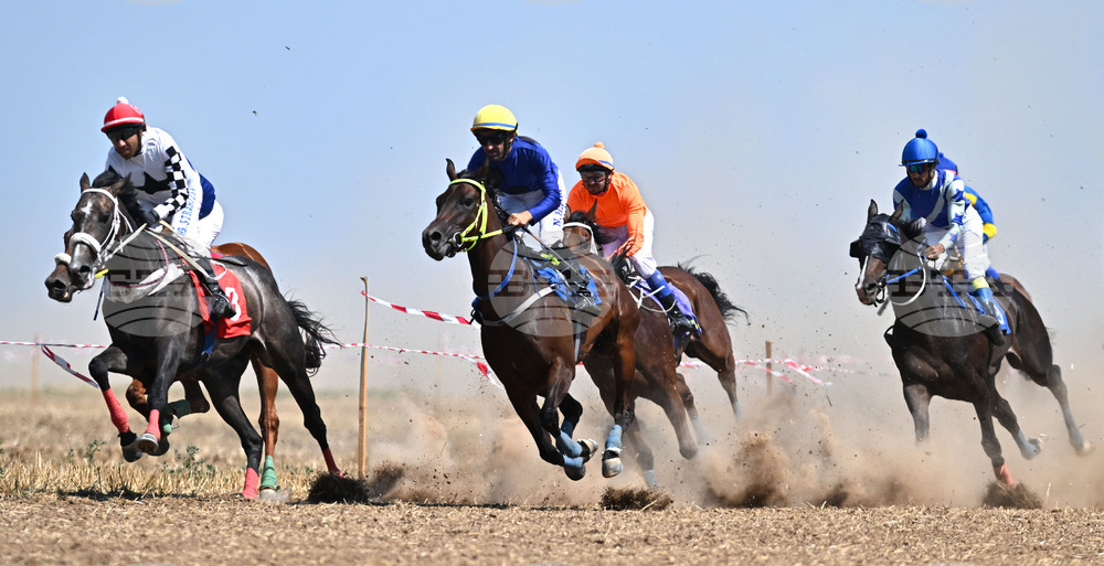 Завет - конни надбягвания