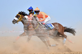 Завет - конни надбягвания