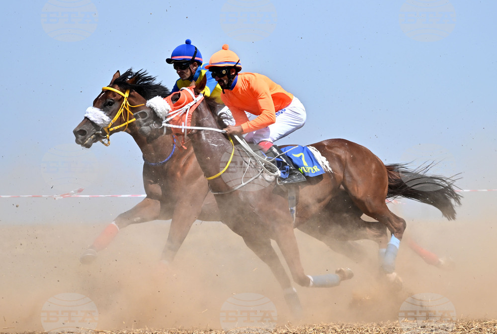 Завет - конни надбягвания