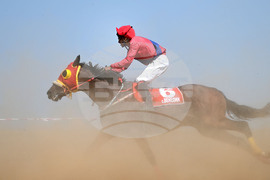 Завет - конни надбягвания