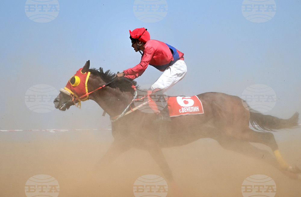 Завет - конни надбягвания