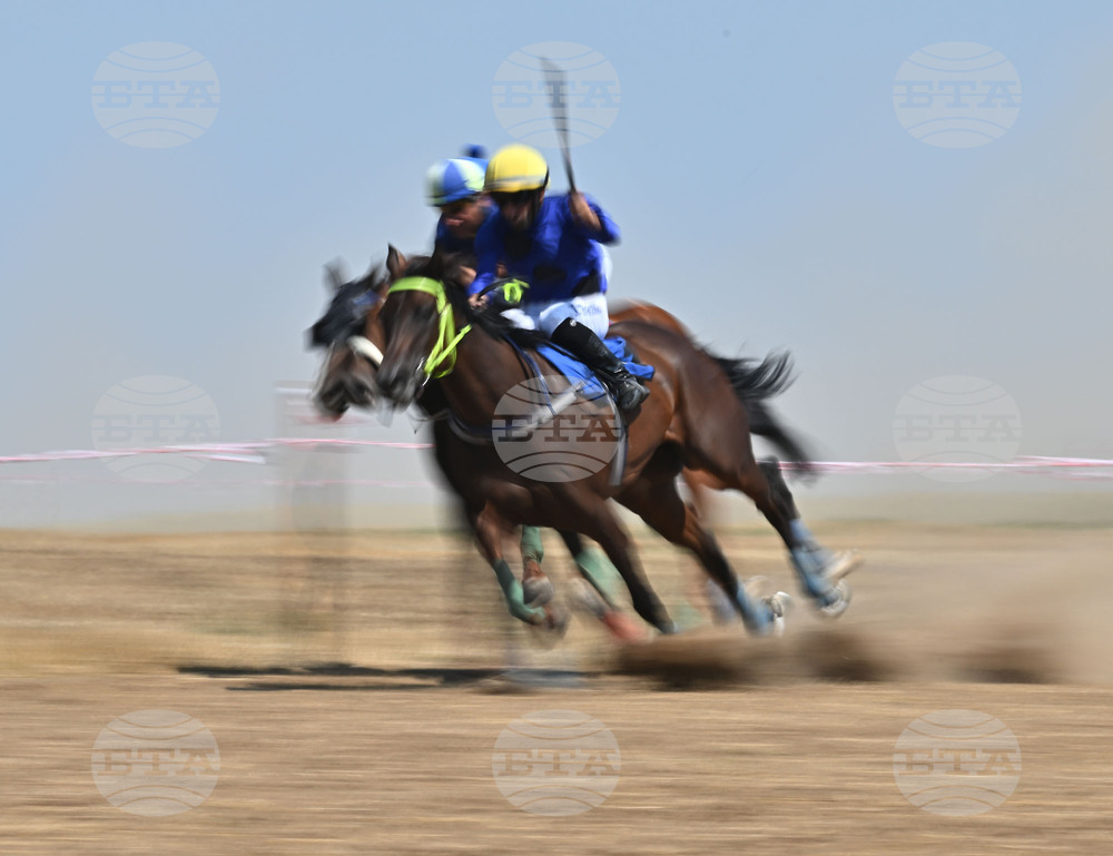 Завет - конни надбягвания