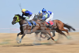 Завет - конни надбягвания