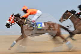 Завет - конни надбягвания