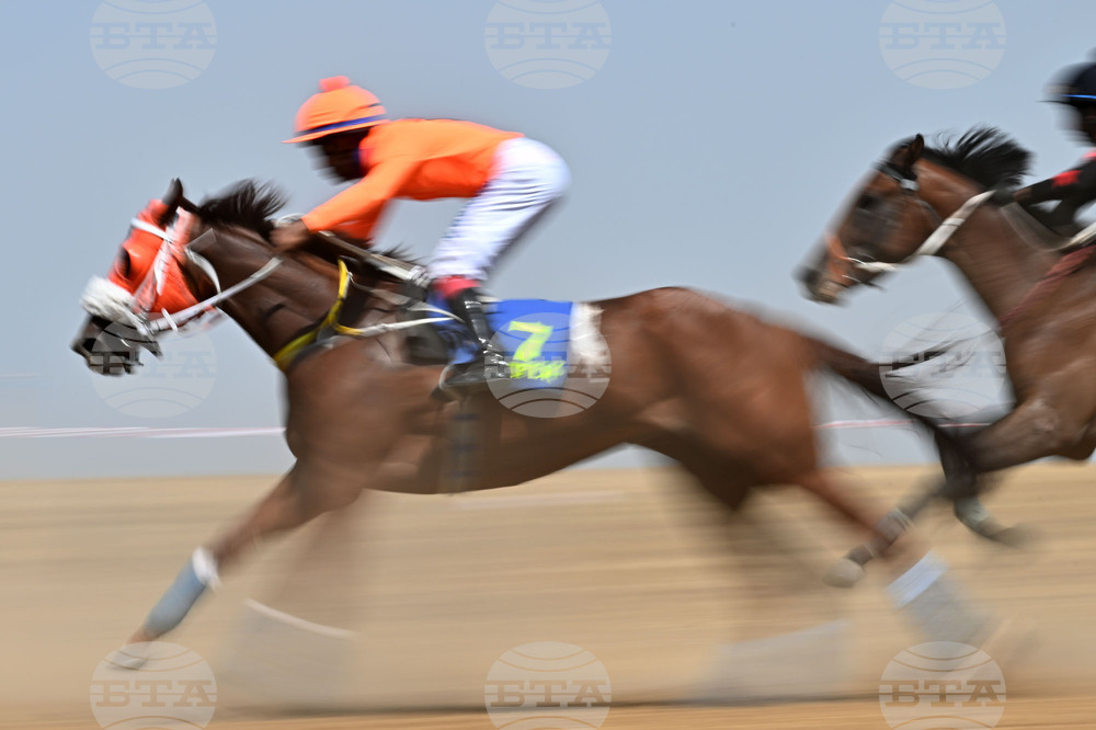 Завет - конни надбягвания