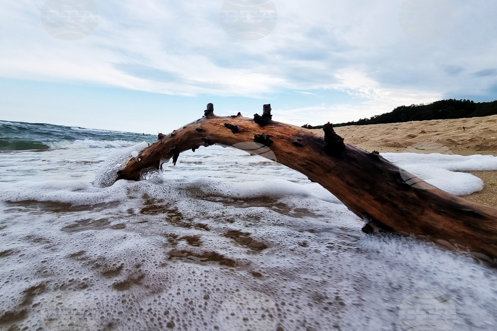 Село Шкорпиловци - плаж