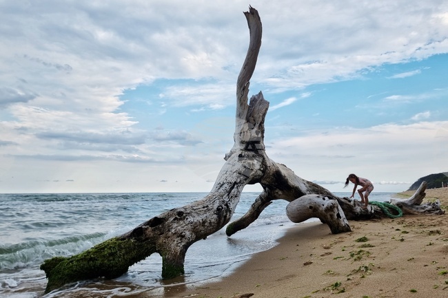 Село Шкорпиловци - плаж