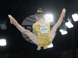 Paris Olympics Artistic Gymnastics