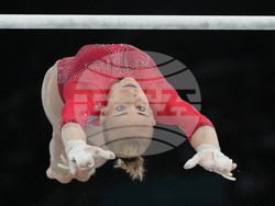 Paris Olympics Artistic Gymnastics