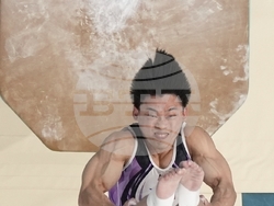Paris Olympics Artistic Gymnastics