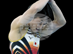 Paris Olympics Artistic Gymnastics