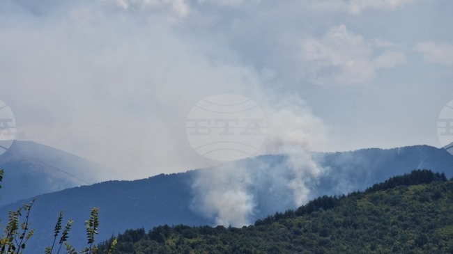 Два пожара горят в планина Славянка край село Голешево, в гасенето се включва и хеликоптер