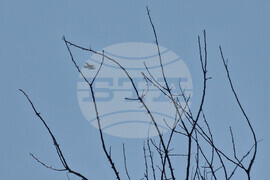 Петрич - планина Славянка - пожар