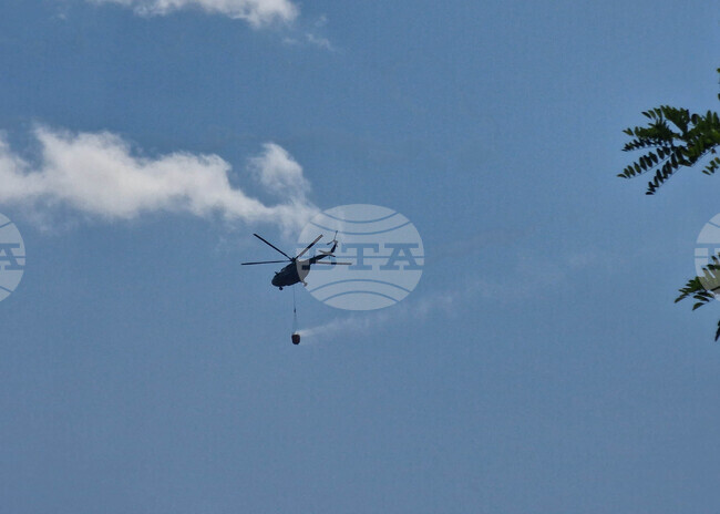 Петрич - планина Славянка - пожар