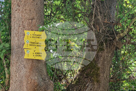 Петрич - планина Славянка - пожар