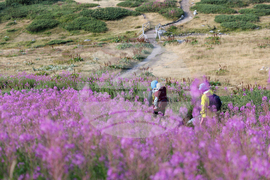 Рила планина - Седемте рилски езера – патриарх Даниил - поклонническо пътуване - „Рилският Чудотворец“