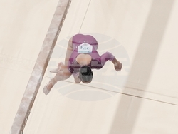 Paris Olympics Artistic Gymnastics