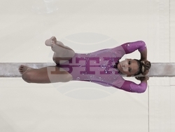 Paris Olympics Artistic Gymnastics