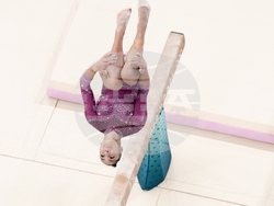 Paris Olympics Artistic Gymnastics