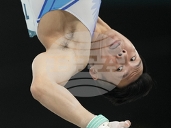 Paris Olympics Artistic Gymnastics