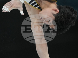 Paris Olympics Artistic Gymnastics