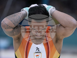 Paris Olympics Artistic Gymnastics