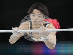 Paris Olympics Artistic Gymnastics
