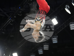 Paris Olympics Artistic Gymnastics