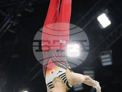 Paris Olympics Artistic Gymnastics