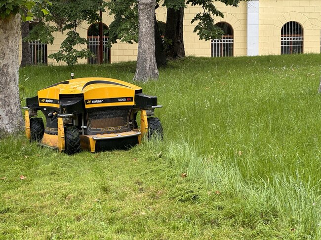 Община Русе: Дейностите по косене на тревните площи в Русе продължават и през настоящата седмица